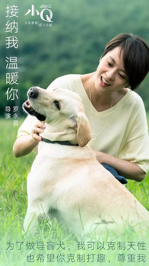 伊利湖学院 Diploma in Environmental Science